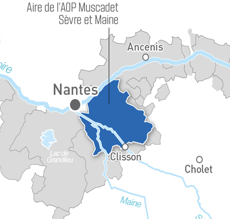 AOC muscadet-sèvre-et-maine- white Wine Valley Loire Wines Valley wine Loire | 